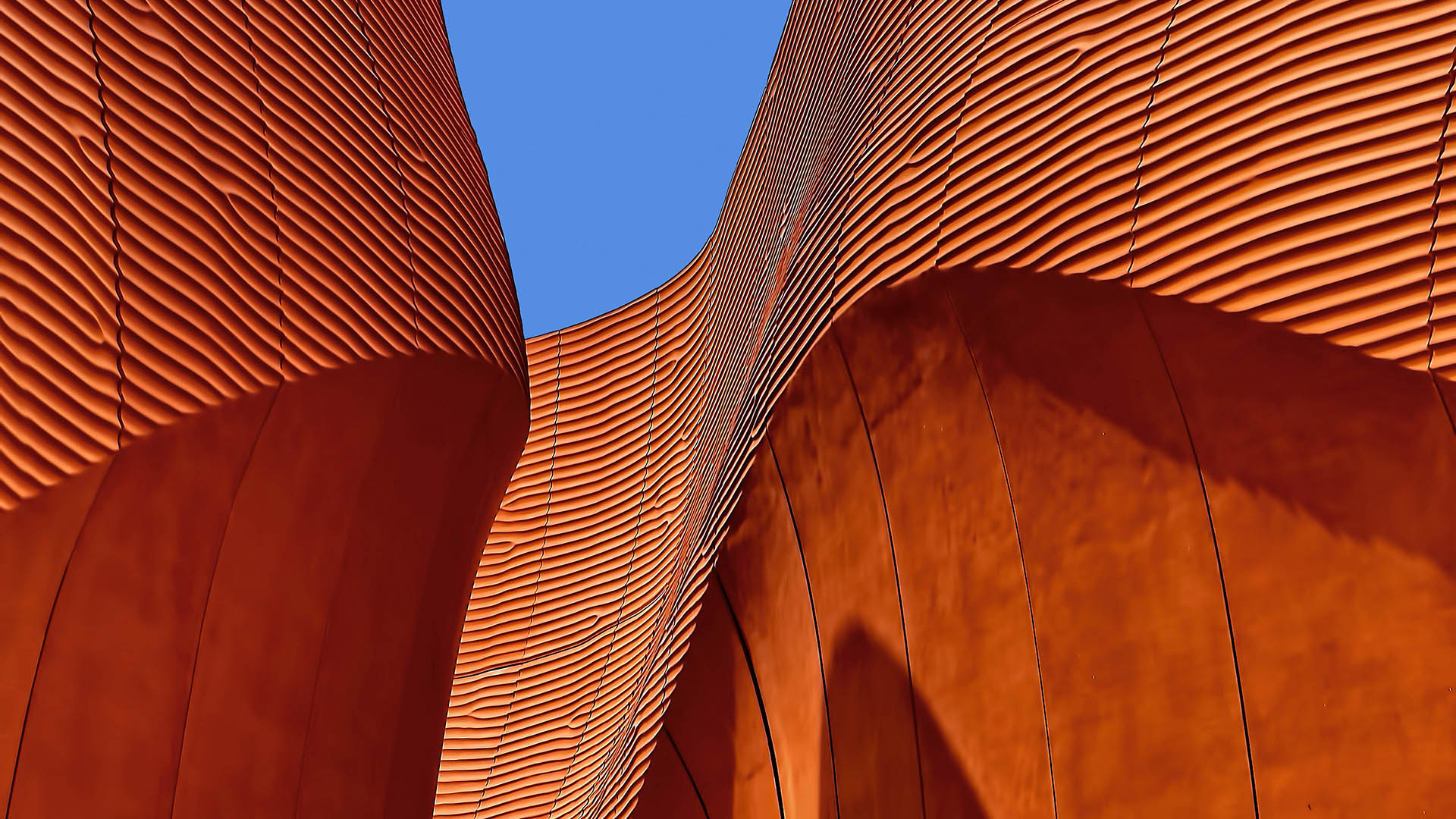 ricardo-gomez-angel-PzYiCWOHtfU-unsplash